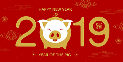 February 4th 2019 begins The Year of the Pig!